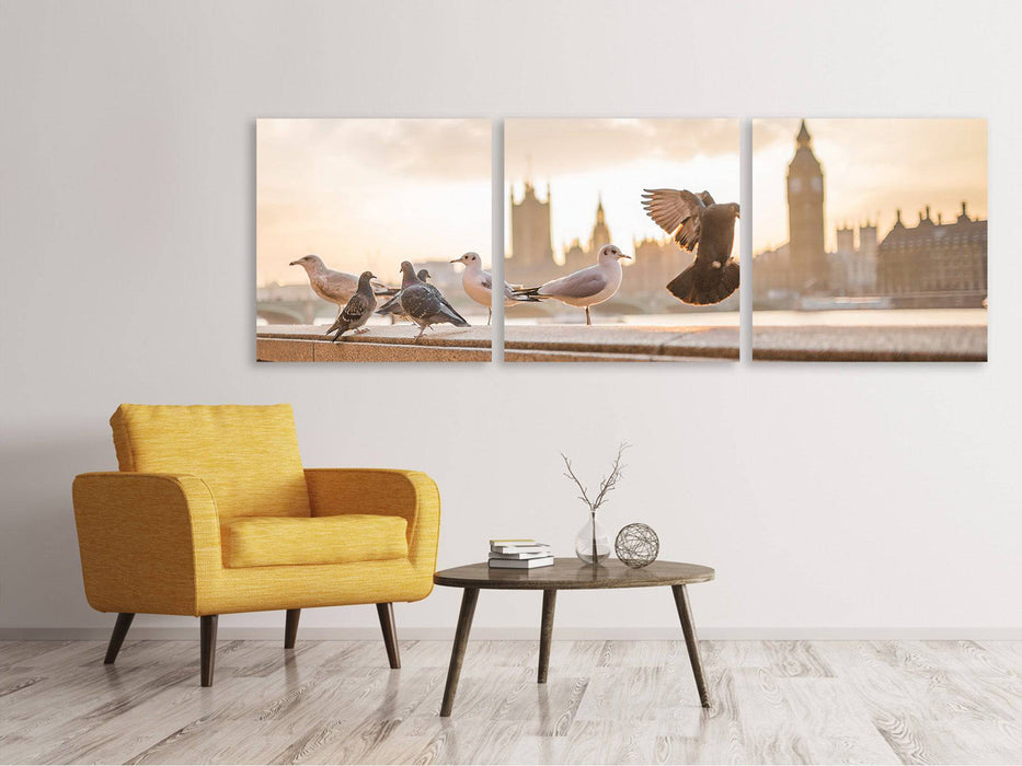 Panoramic 3-piece canvas picture The pigeons on the roof