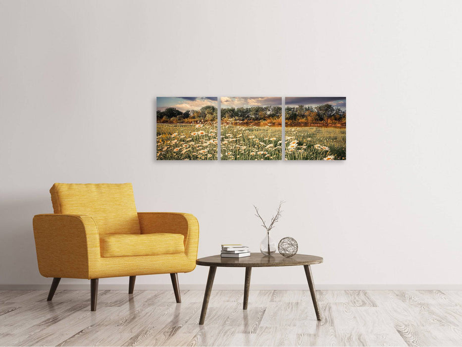 Panoramic 3-piece canvas picture The meadow daisy by the river