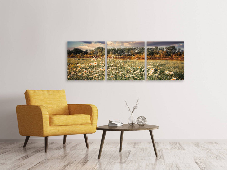 Panoramic 3-piece canvas picture The meadow daisy by the river