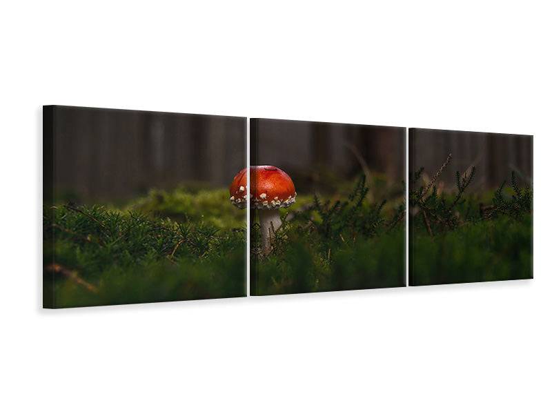 Tableau sur toile panoramique en 3 parties Un champignon dans la forêt