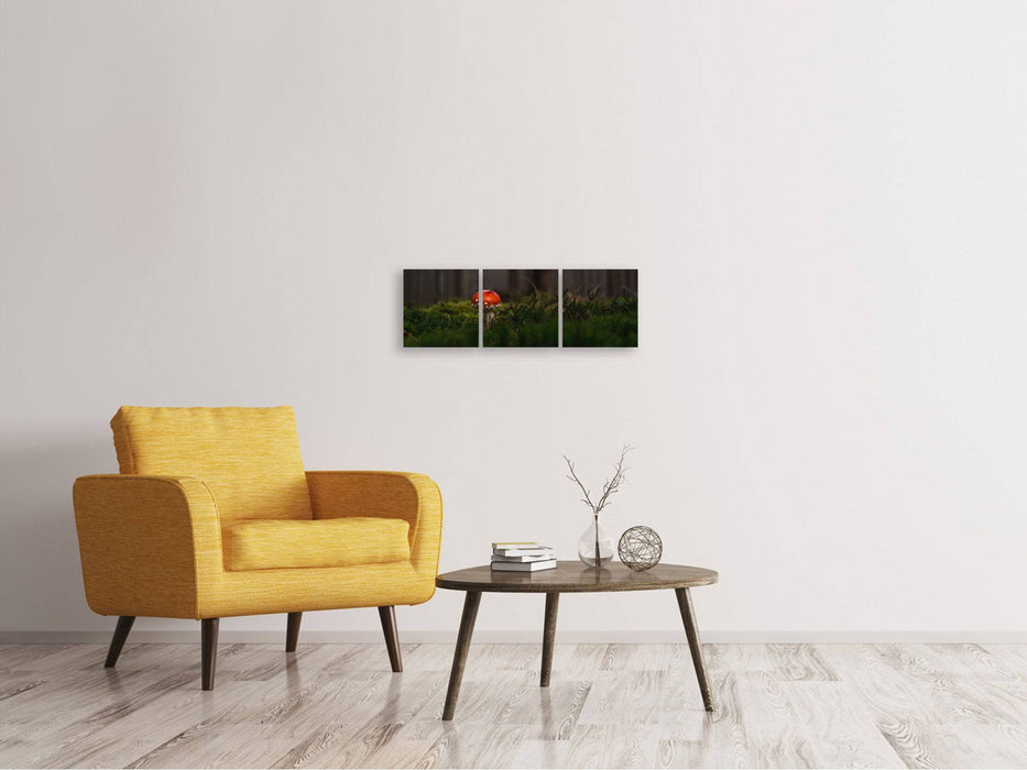 Tableau sur toile panoramique en 3 parties Un champignon dans la forêt