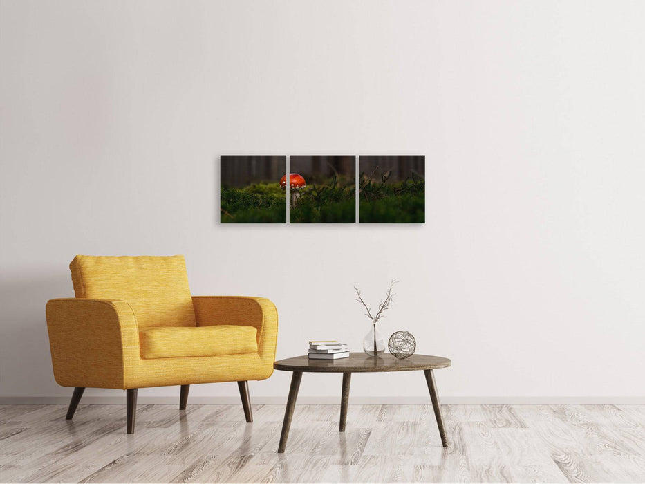 Tableau sur toile panoramique en 3 parties Un champignon dans la forêt