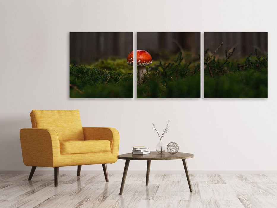 Tableau sur toile panoramique en 3 parties Un champignon dans la forêt