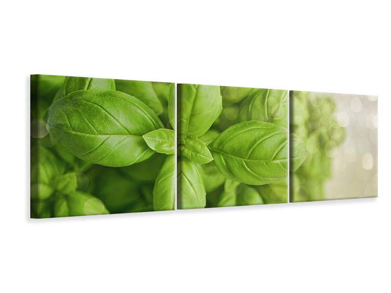 Panorama 3-piece canvas picture A bouquet of basil