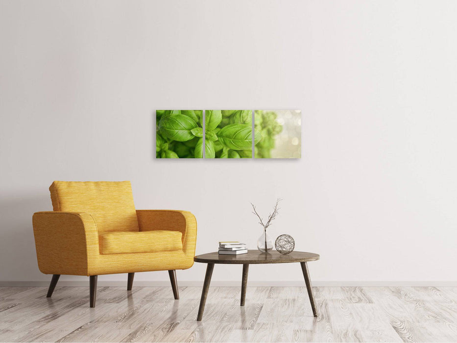 Panorama 3-piece canvas picture A bouquet of basil