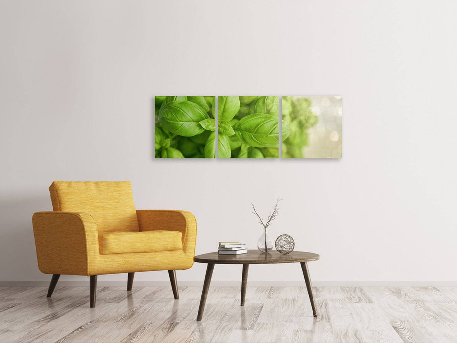 Panorama 3-piece canvas picture A bouquet of basil