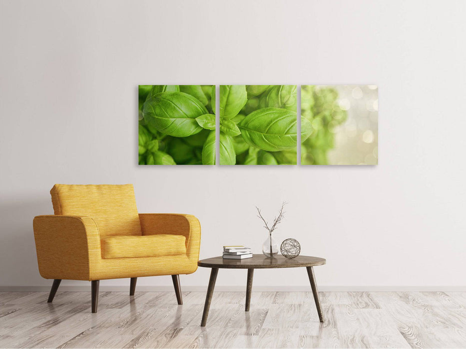 Panorama 3-piece canvas picture A bouquet of basil