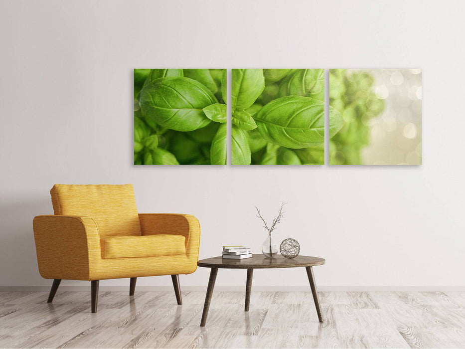 Panorama 3-piece canvas picture A bouquet of basil