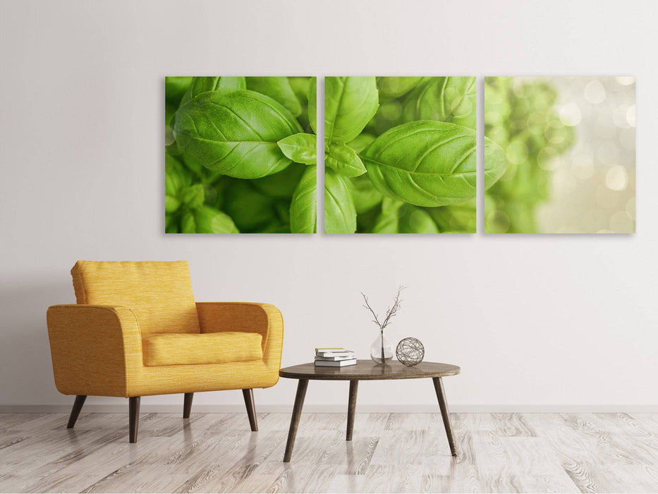 Panorama 3-piece canvas picture A bouquet of basil