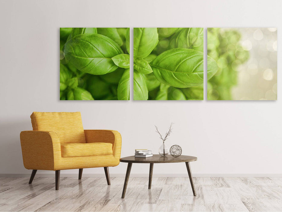 Panorama 3-piece canvas picture A bouquet of basil