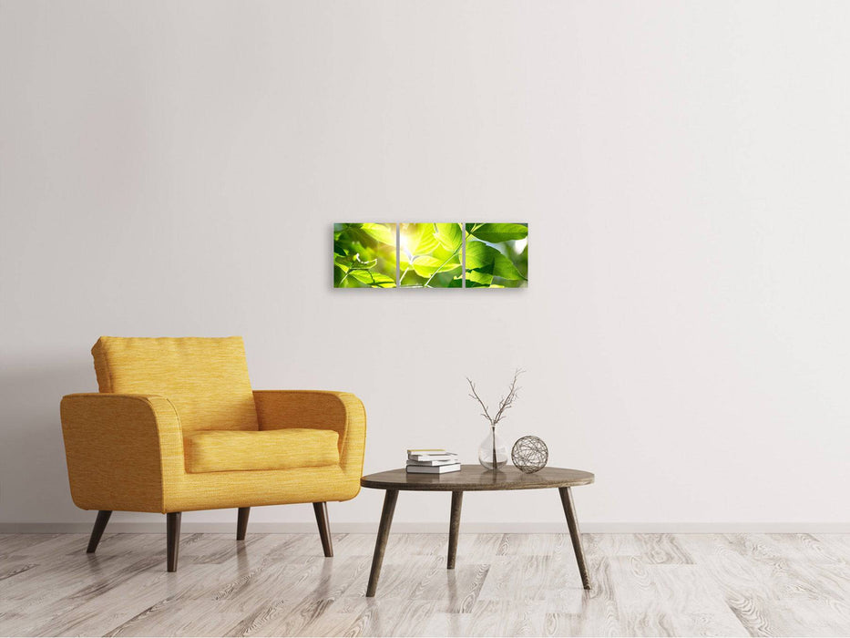 Panoramic 3-piece canvas picture It's so green