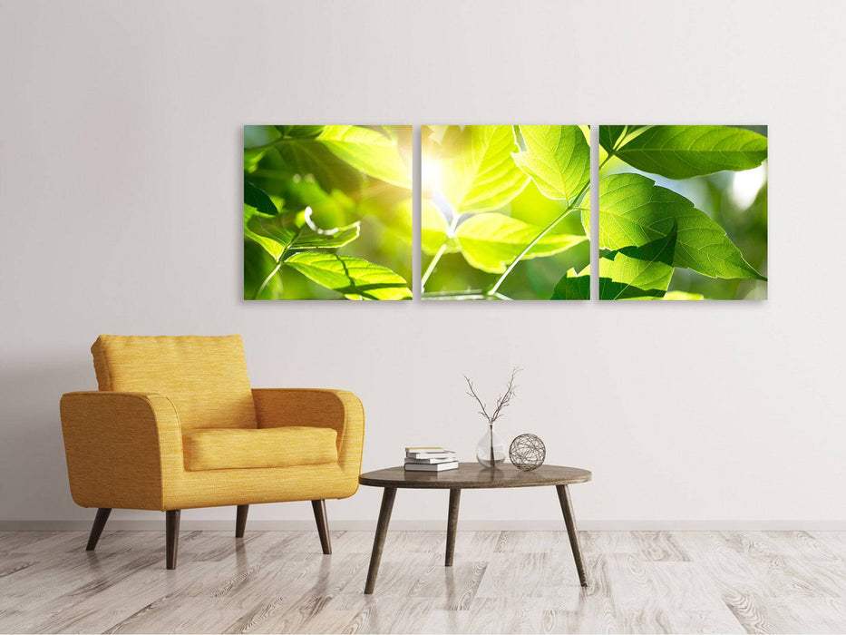 Panoramic 3-piece canvas picture It's so green