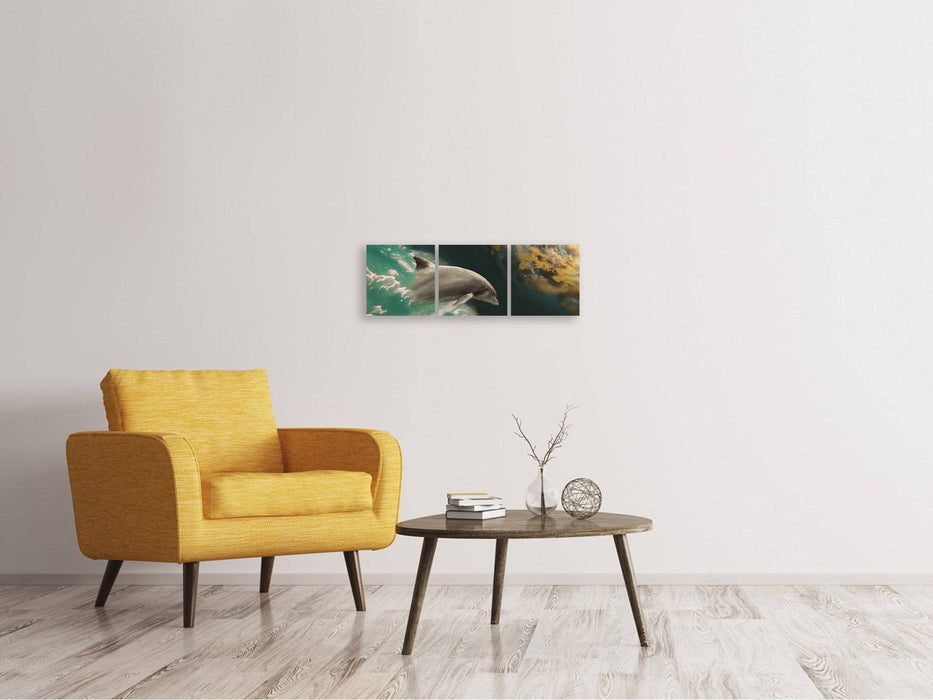 Panoramic 3-piece canvas picture fascination with dolphins