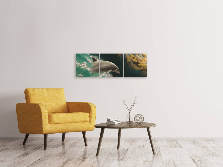 Panoramic 3-piece canvas picture fascination with dolphins