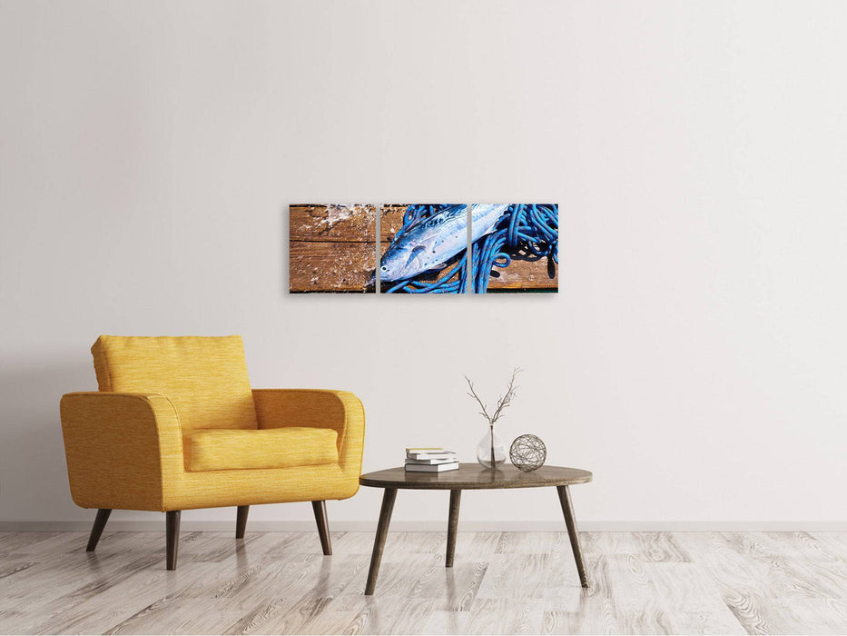 Tableau sur toile panoramique en 3 parties Poisson fraîchement pêché