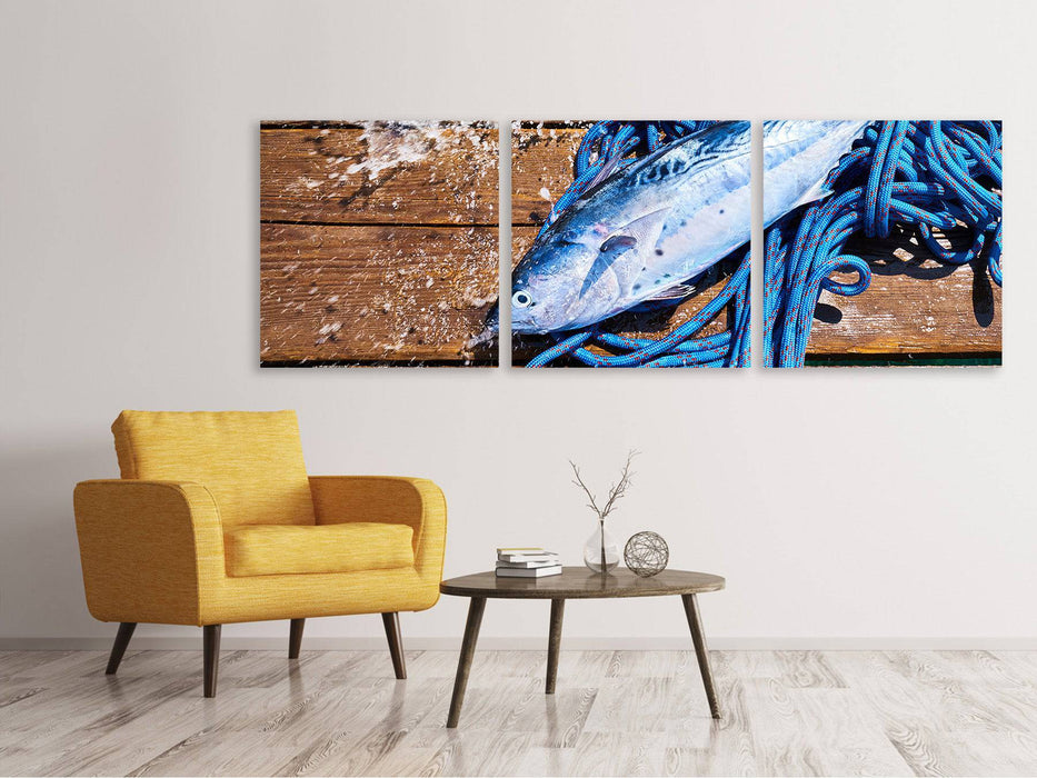 Tableau sur toile panoramique en 3 parties Poisson fraîchement pêché