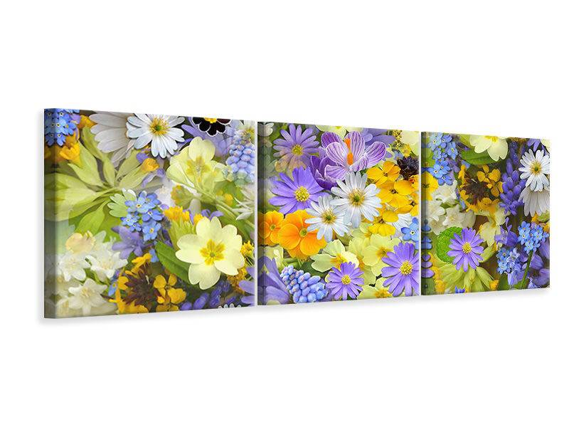 Tableau sur toile panoramique en 3 parties Fleurs printanières fraîches