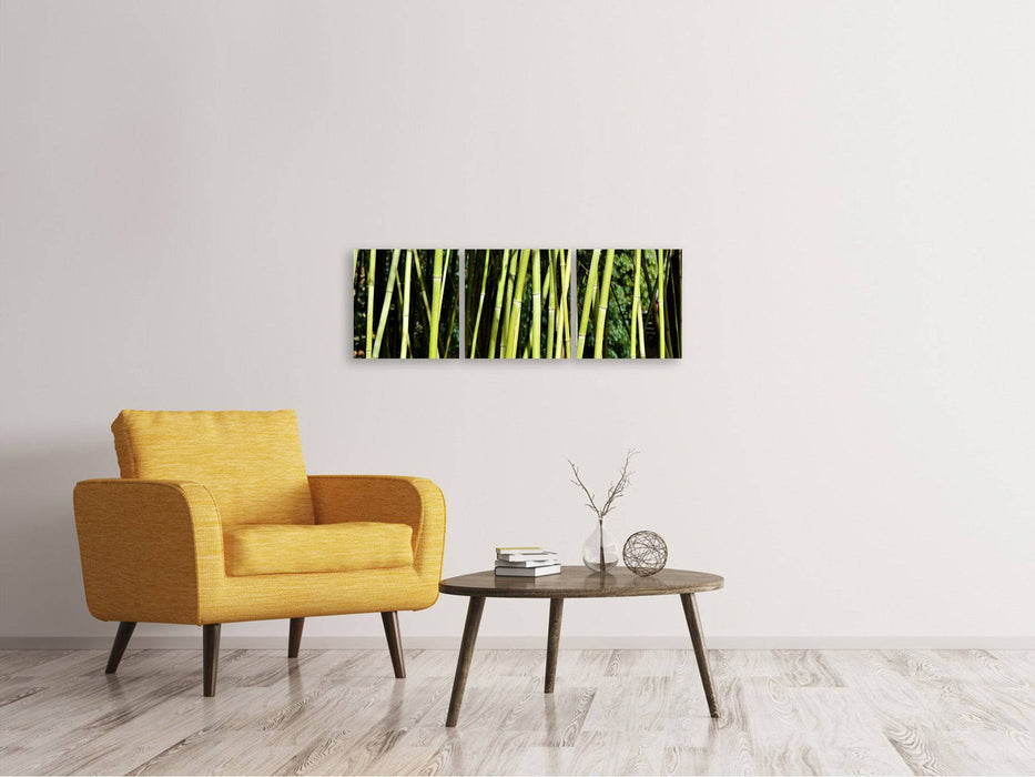 Panoramic 3-piece canvas picture Fresh bamboo