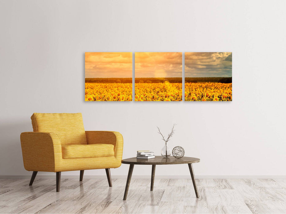 Panorama Leinwandbild 3-teilig Goldenes Licht für Sonnenblumen