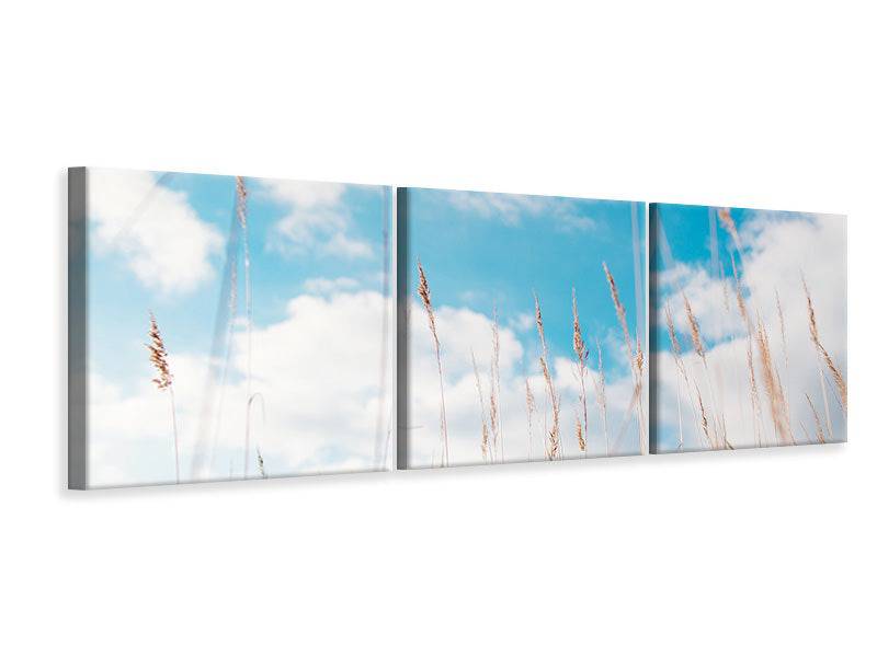 Tableau sur toile en 3 parties panoramique Brins d'herbe dans le ciel