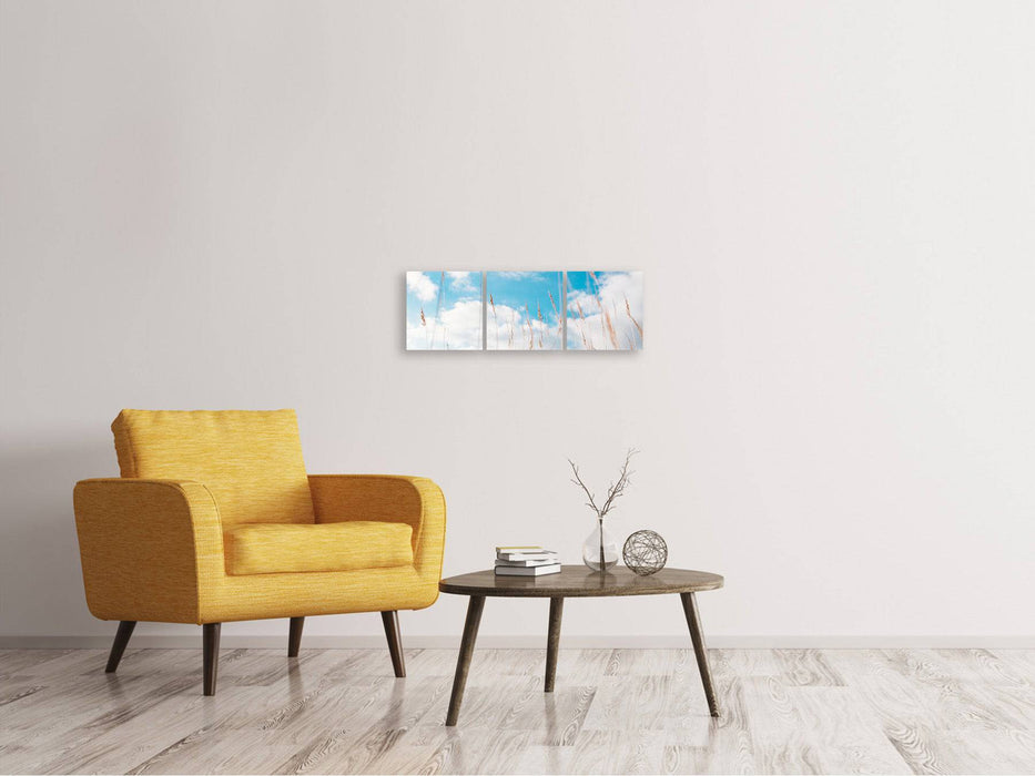 Tableau sur toile en 3 parties panoramique Brins d'herbe dans le ciel