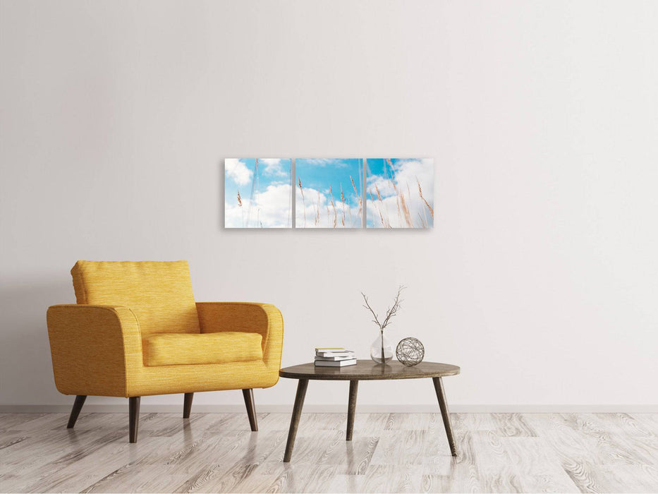 Tableau sur toile en 3 parties panoramique Brins d'herbe dans le ciel