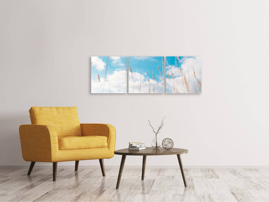 Tableau sur toile en 3 parties panoramique Brins d'herbe dans le ciel