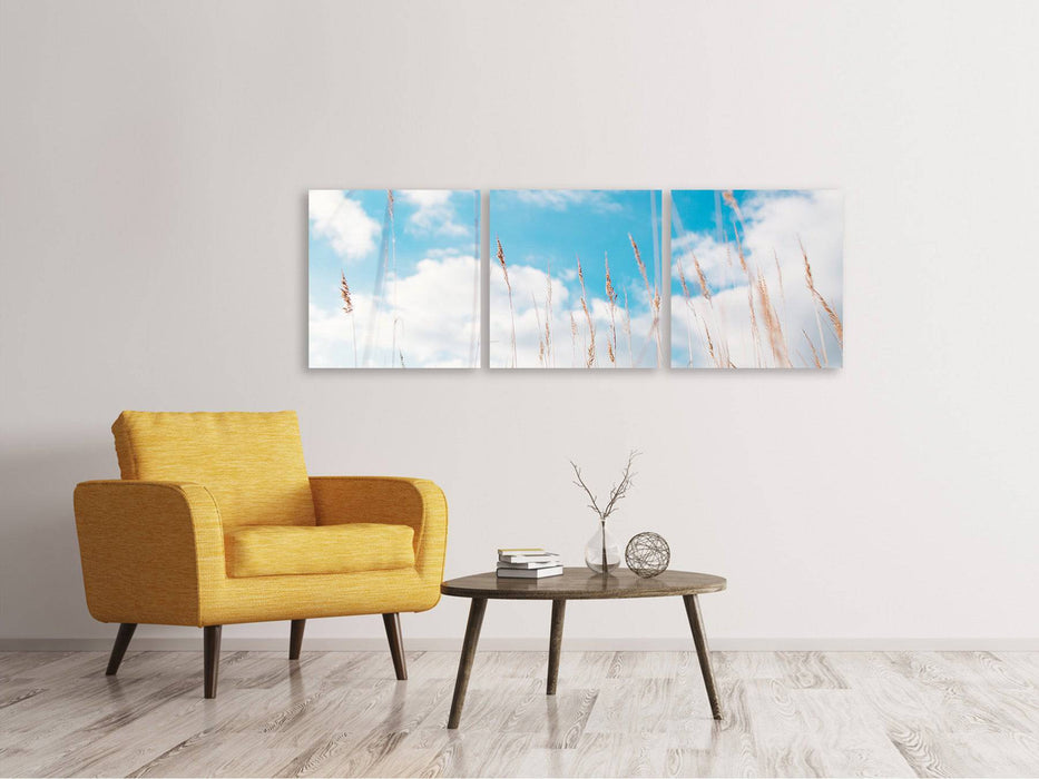 Tableau sur toile en 3 parties panoramique Brins d'herbe dans le ciel