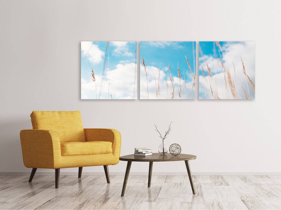 Tableau sur toile en 3 parties panoramique Brins d'herbe dans le ciel