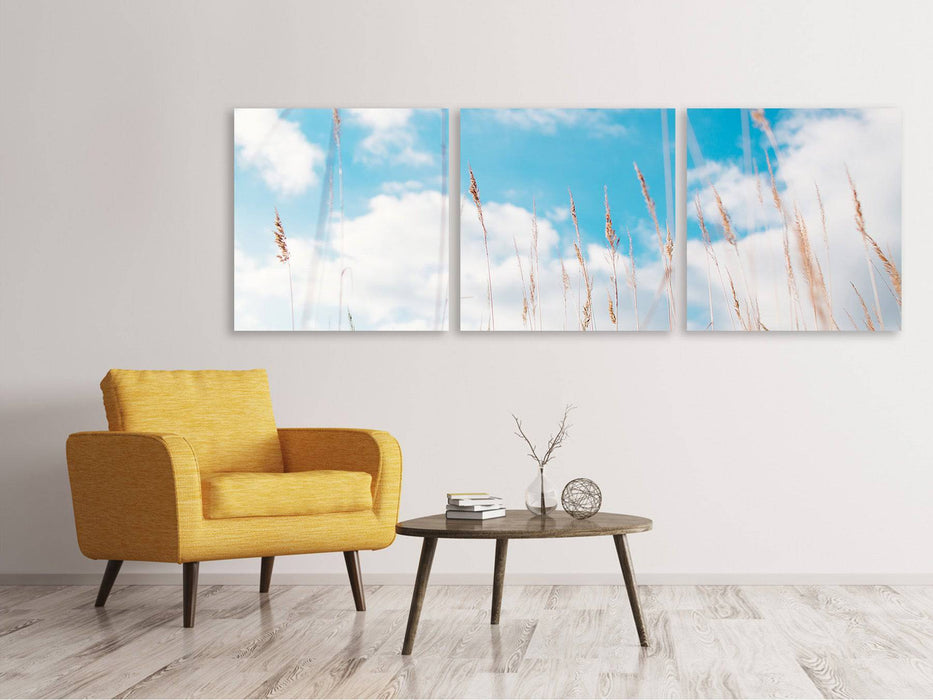 Tableau sur toile en 3 parties panoramique Brins d'herbe dans le ciel