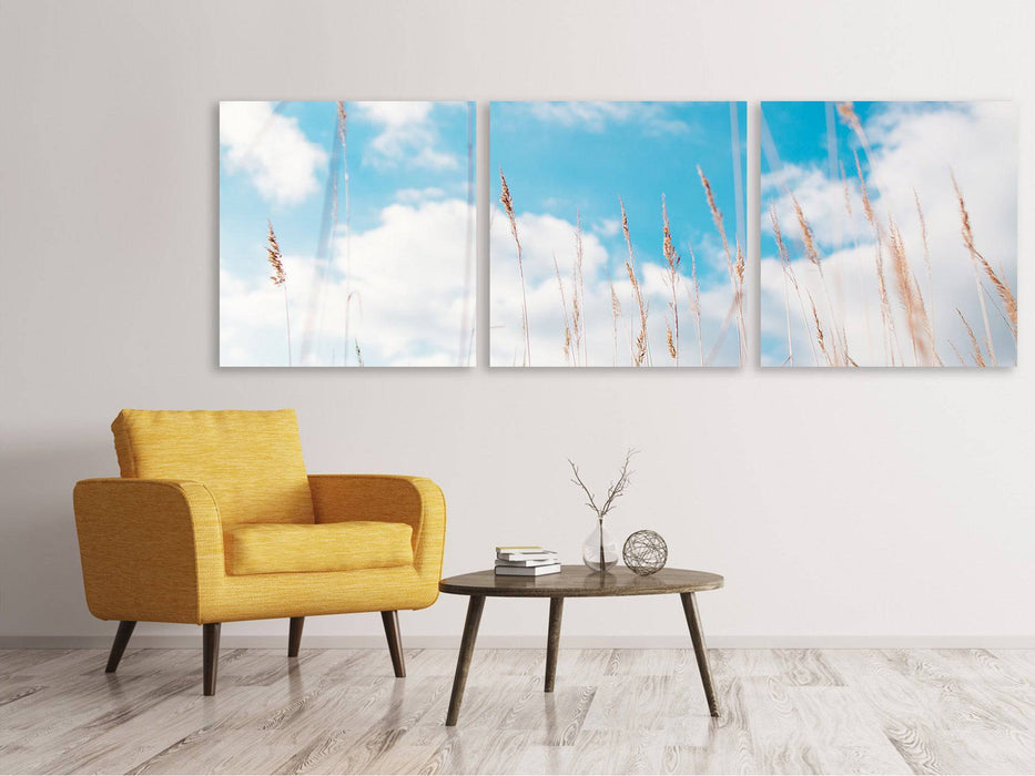 Tableau sur toile en 3 parties panoramique Brins d'herbe dans le ciel