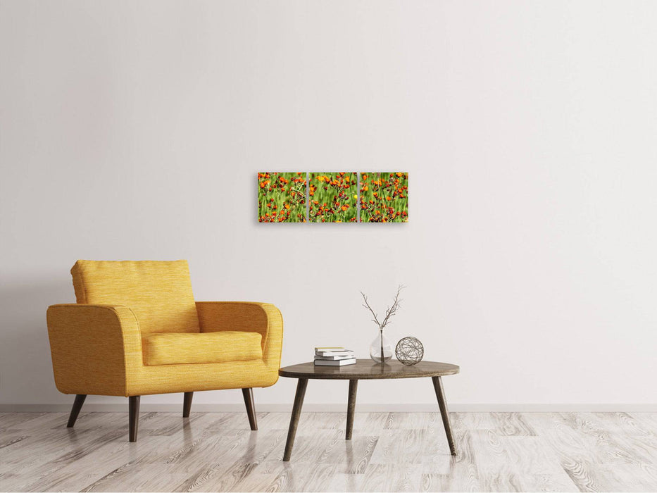 Tableau sur toile panoramique en 3 parties herbes de faucon