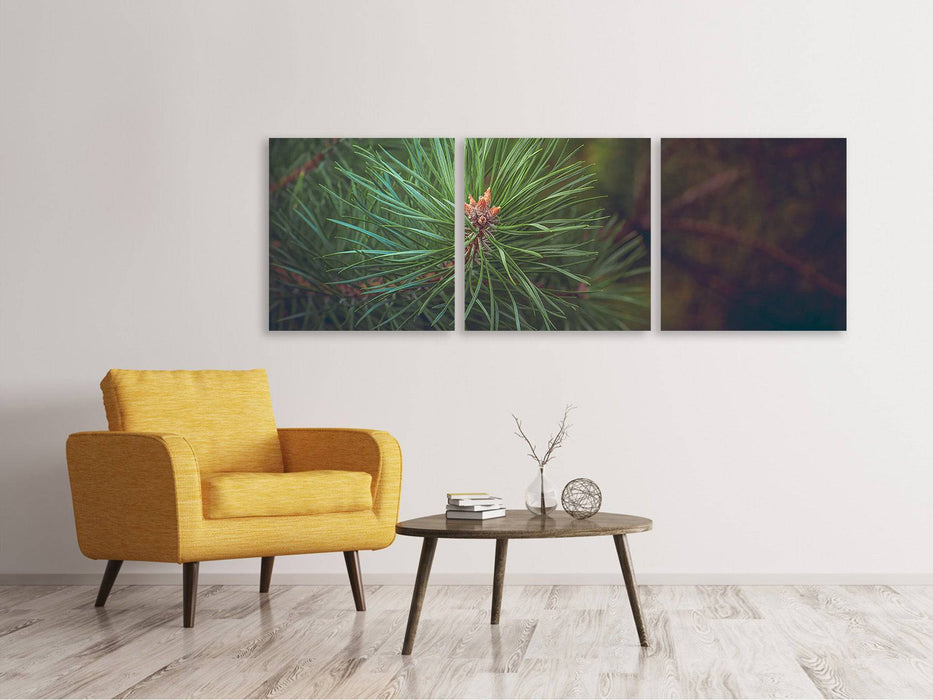 Tableau sur toile panoramique en 3 parties pin gros plan