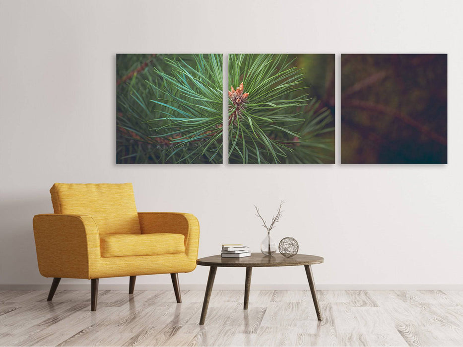 Tableau sur toile panoramique en 3 parties pin gros plan