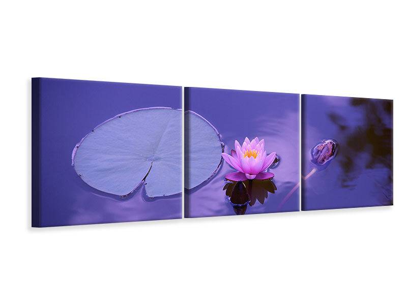 Tableau sur toile en 3 parties Panorama Fleur de lotus