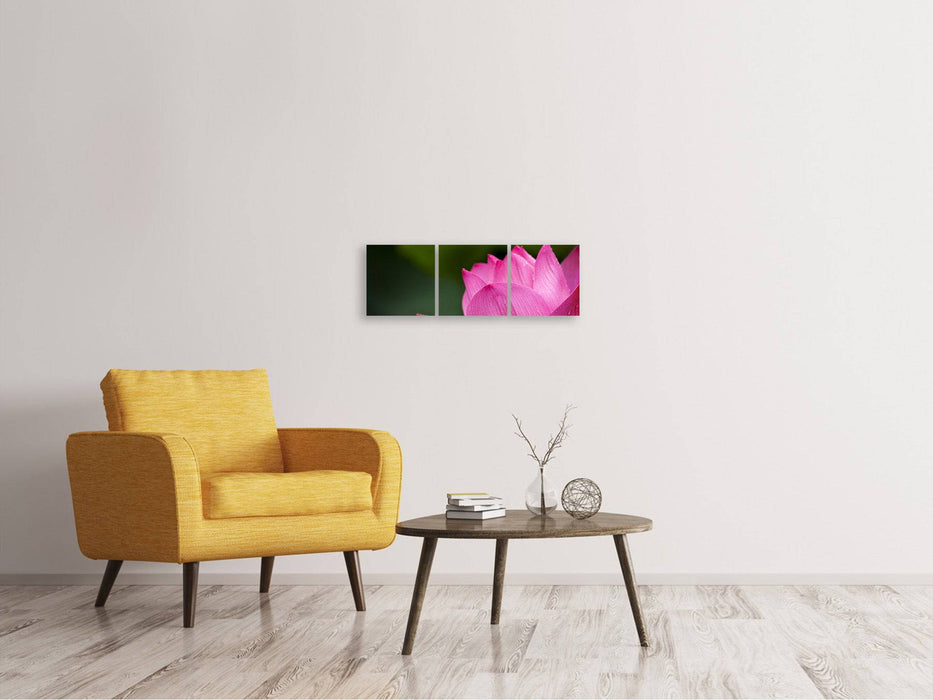 Panorama canvas picture 3 pieces Marko Lotus in pink