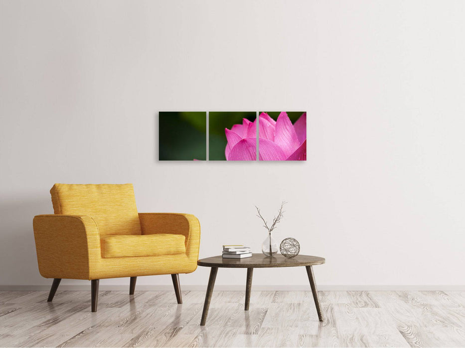 Panorama canvas picture 3 pieces Marko Lotus in pink