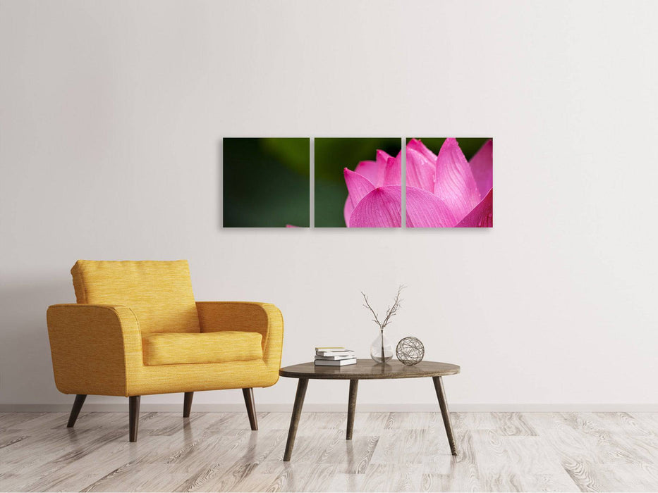 Panorama canvas picture 3 pieces Marko Lotus in pink