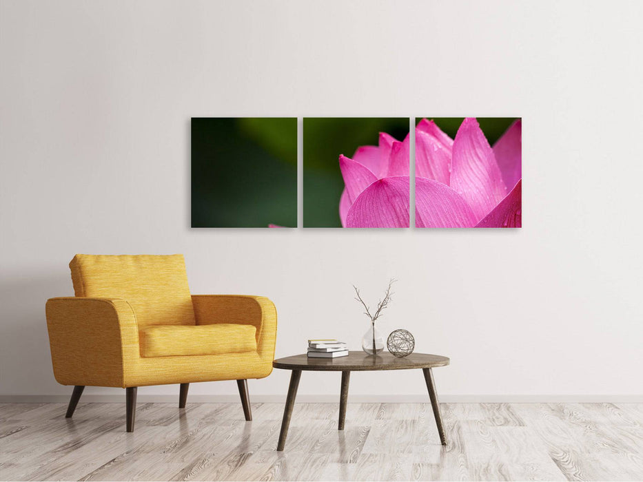 Panorama canvas picture 3 pieces Marko Lotus in pink