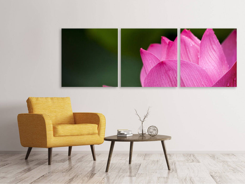 Panorama canvas picture 3 pieces Marko Lotus in pink