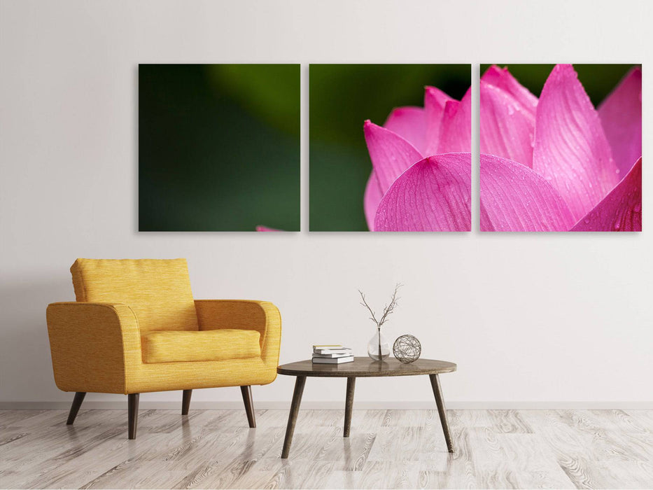 Panorama canvas picture 3 pieces Marko Lotus in pink