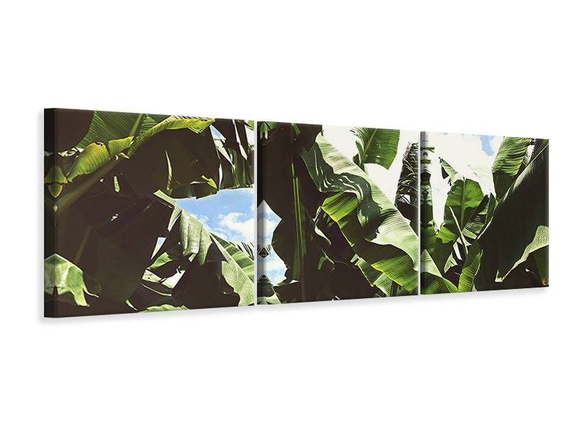 Panorama 3-piece canvas picture In the middle of the jungle