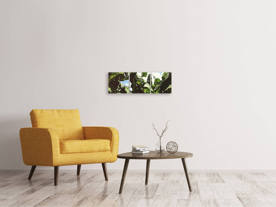 Panorama 3-piece canvas picture In the middle of the jungle