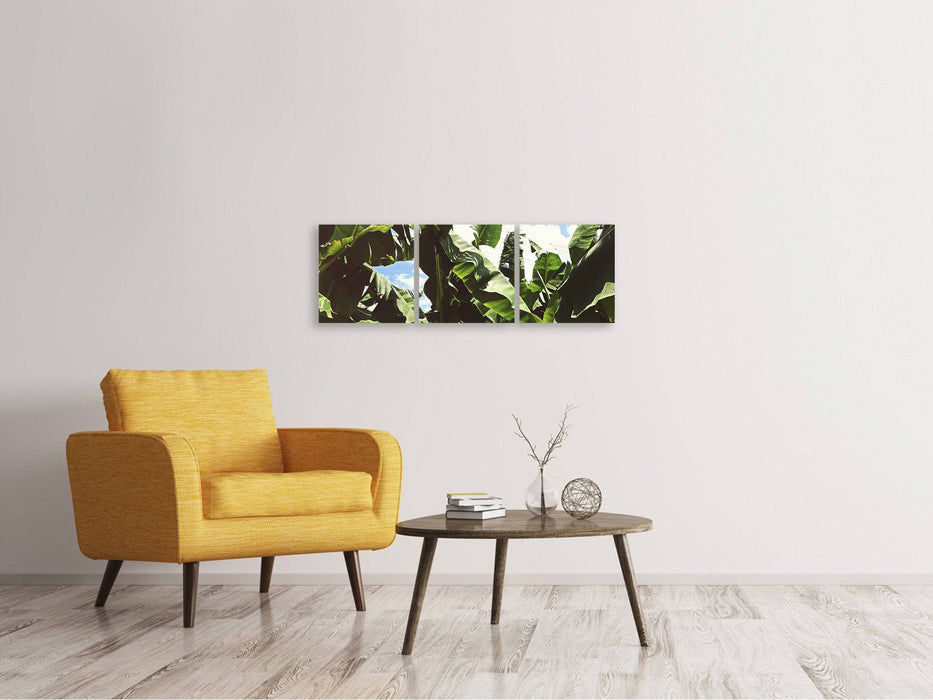 Panorama 3-piece canvas picture In the middle of the jungle