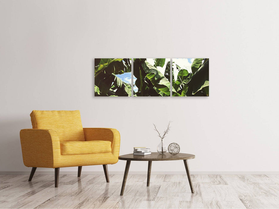 Panorama 3-piece canvas picture In the middle of the jungle