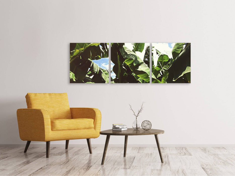 Panorama 3-piece canvas picture In the middle of the jungle