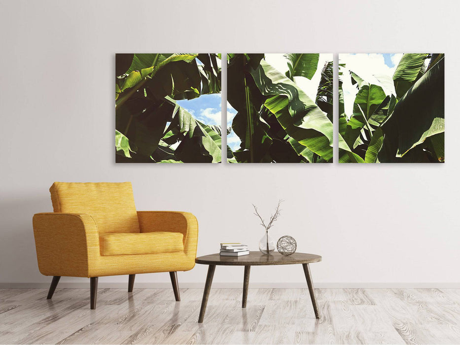 Panorama 3-piece canvas picture In the middle of the jungle