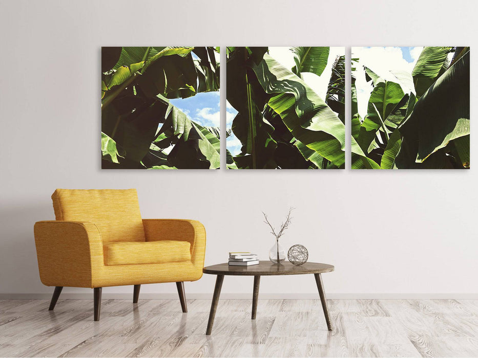 Panorama 3-piece canvas picture In the middle of the jungle