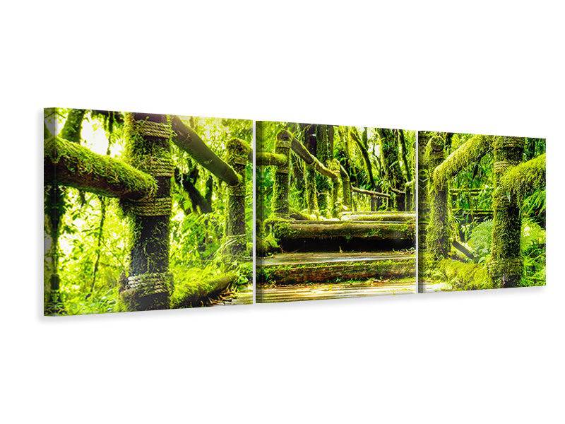 Panorama 3-piece canvas picture moss