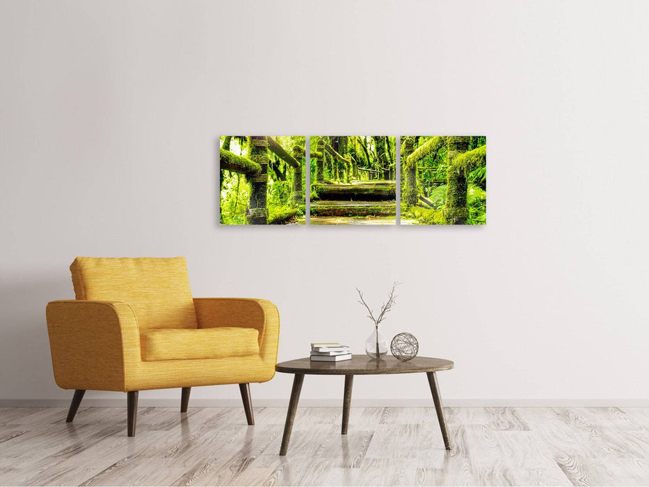 Panorama 3-piece canvas picture moss